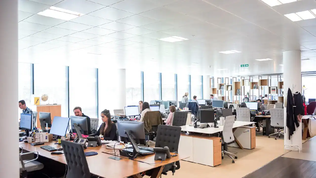 Office workspace with employees working at computers in a modern, bright office environment.