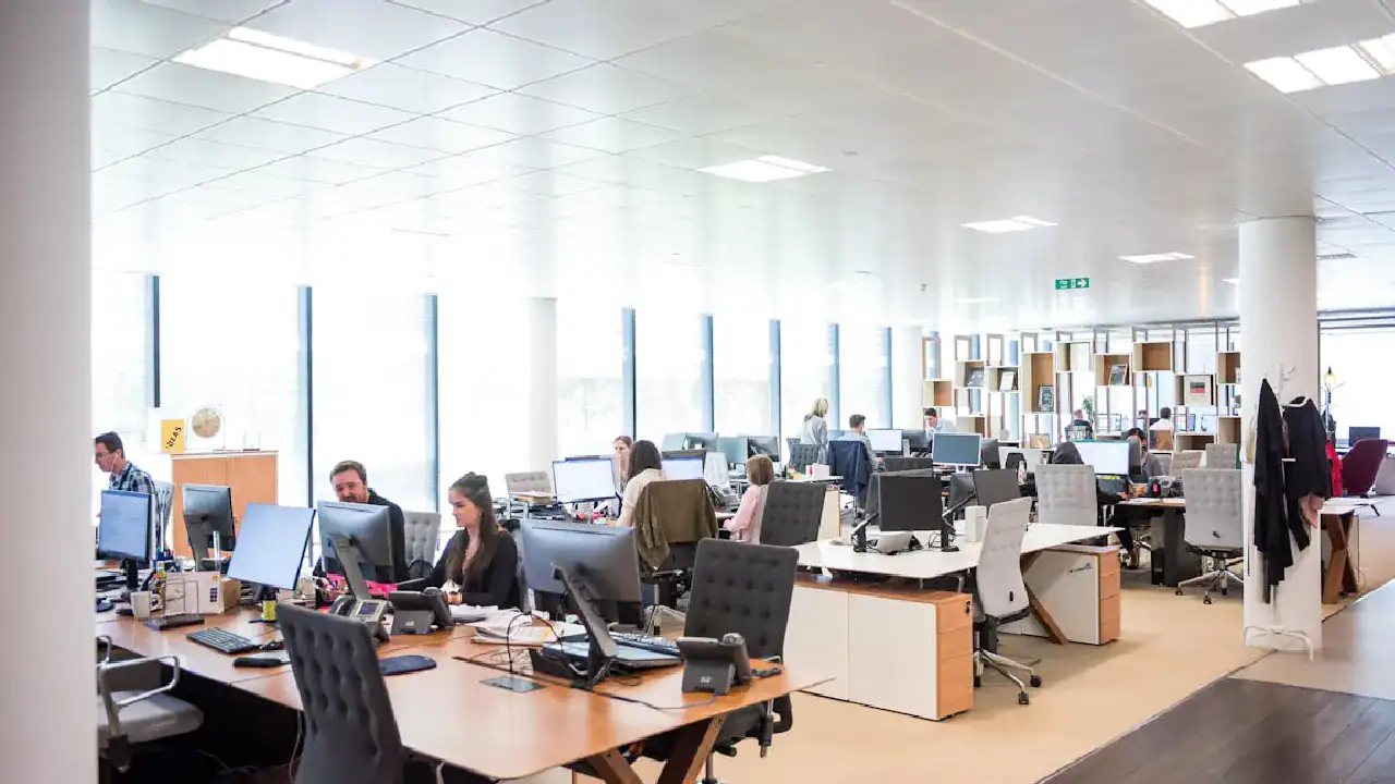 Efficient IT professionals collaborating in a bright, open-plan office environment.